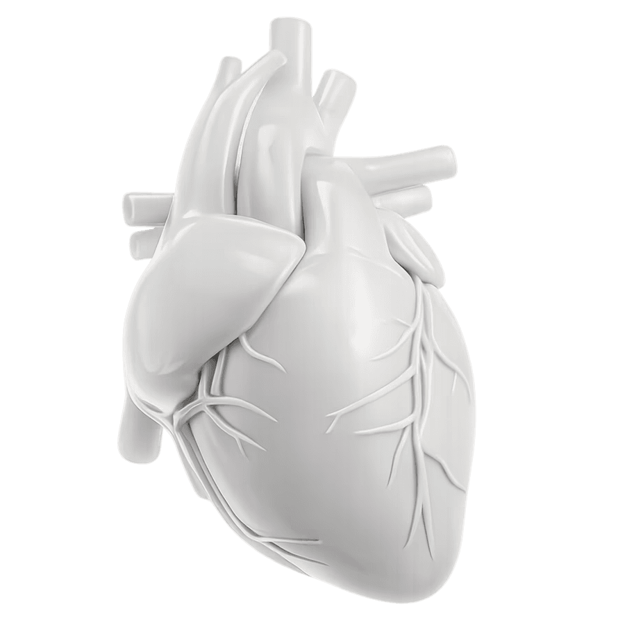 Cuore DAE Italia | Defibrillatori DAE e Cardioprotezione